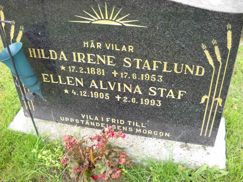 Grave number: 3 MB 15 67