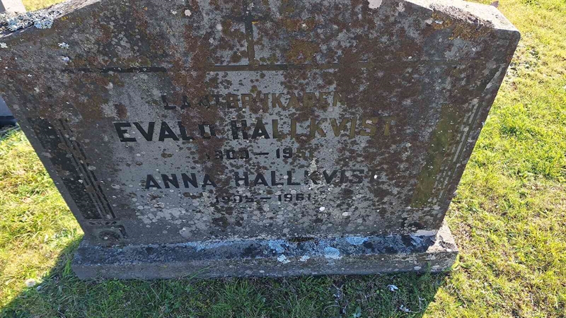 Grave number: VN D    49-50