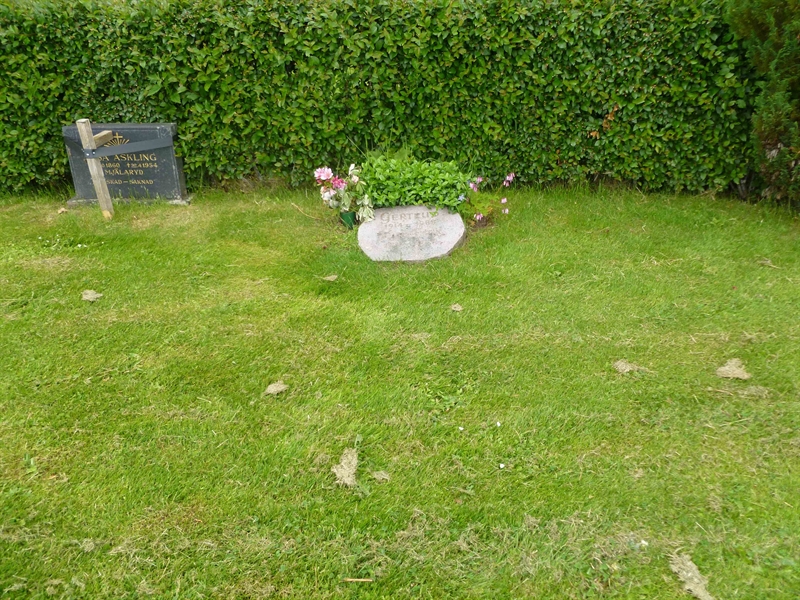 Grave number: ROG B  497