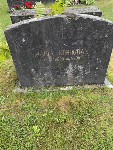 Hautatunnus: N 4 4   498