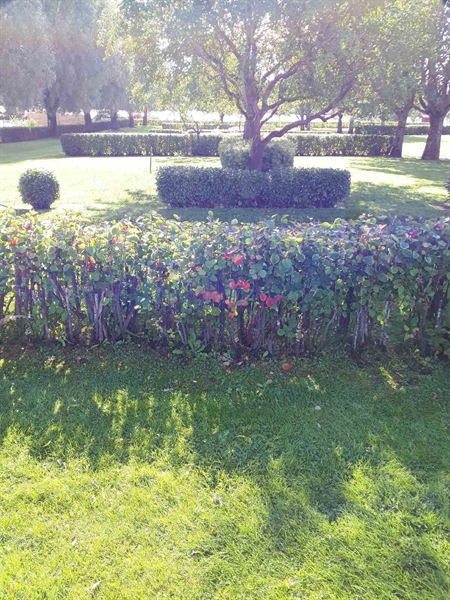 Grave number: NK F B    87