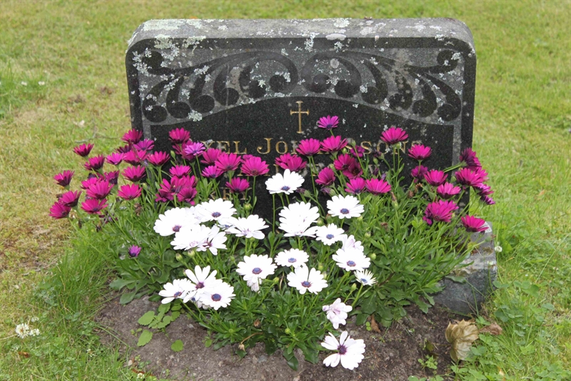 Grave number: GK TABOR    41, 42