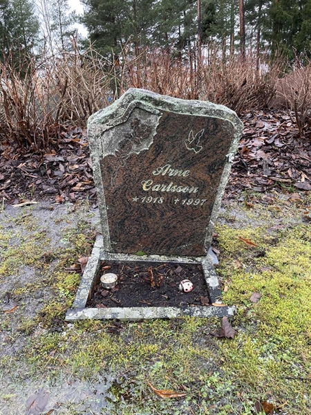 Hautatunnus: 1 C1    25