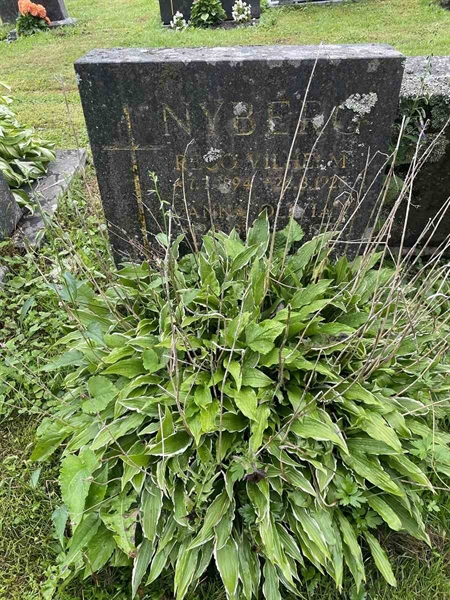 Hautatunnus: N 4 4   664