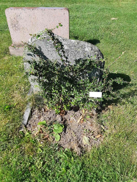 Hautatunnus: Fr 1 214