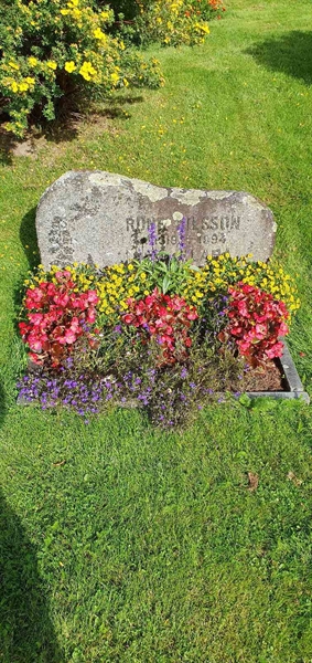 Grave number: Jä 12   176-177