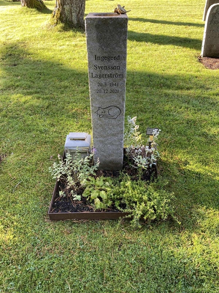 Hautatunnus: 2 E   697