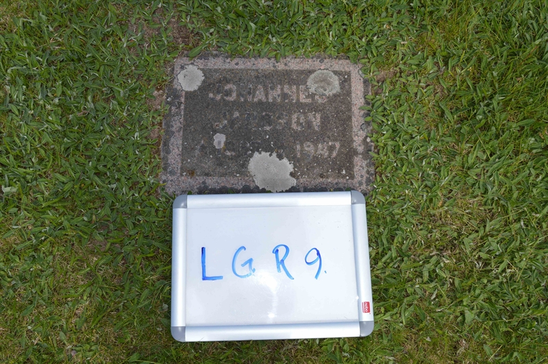 Grave number: LG R     9