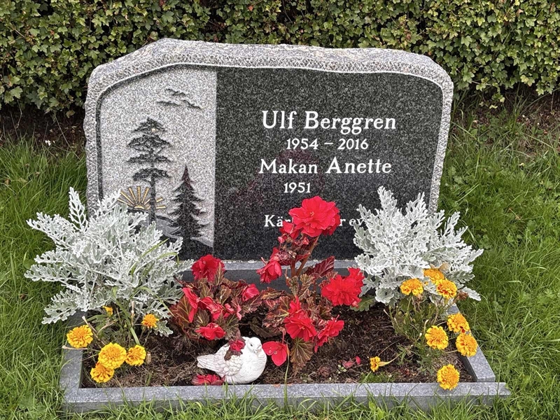 Grave number: IN 22   507
