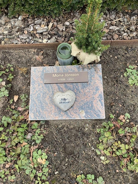 Grave number: ÄNG TALGO    50
