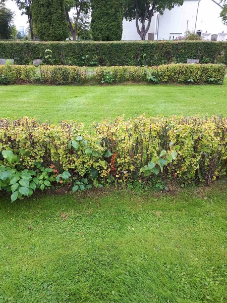 Grave number: NK F G   164