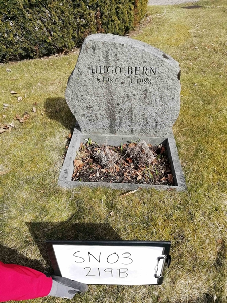 Grave number: SN 03   219