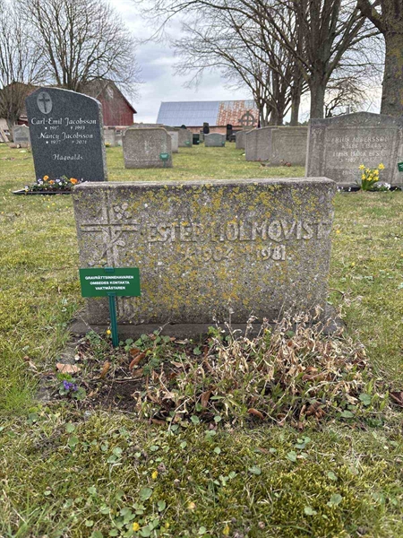 Gravnummer: GE   206