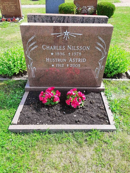 Grave number: M1 P    28a, 29