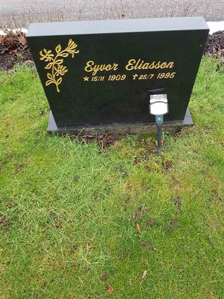 Grave number: 07 71629