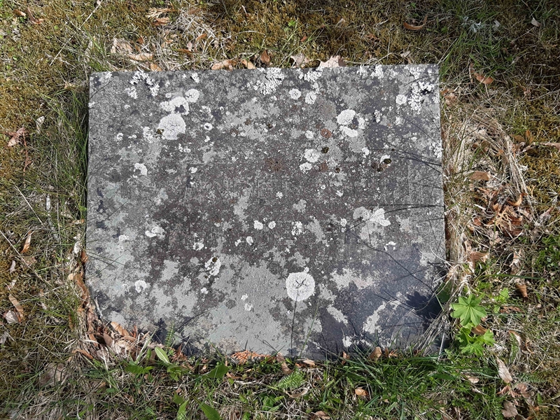 Grave number: NO 12    35