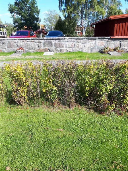 Hautatunnus: NK F G   296