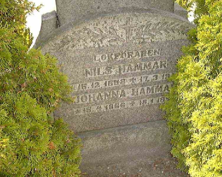 Grave number: NK III    81