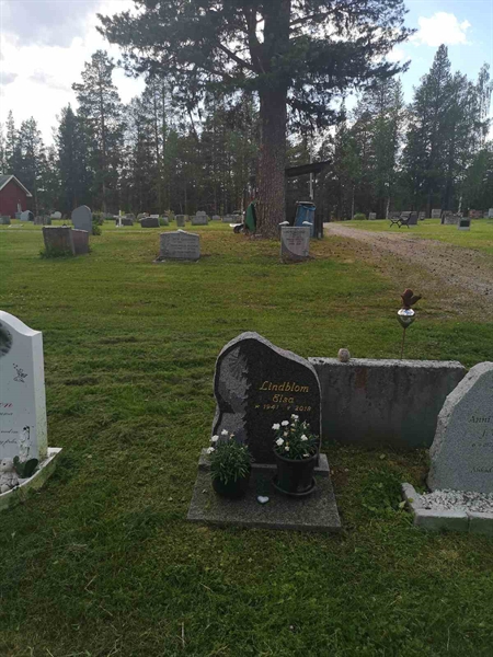 Gravnummer: PK   384