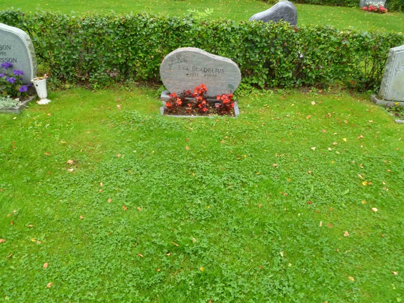 Grave number: ROG H  270