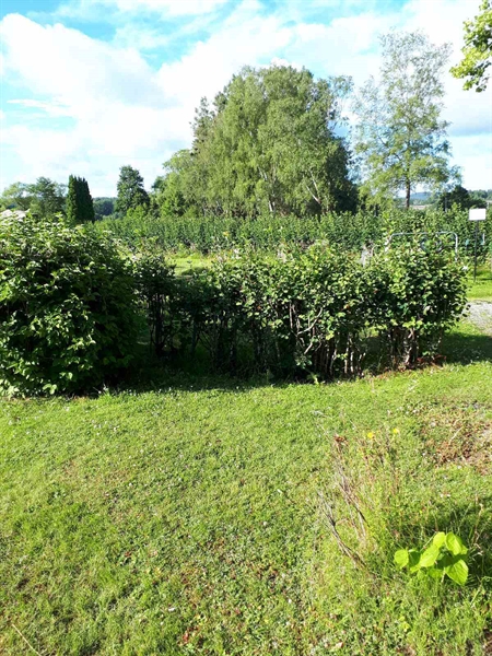 Gravnummer: GK F 5   455