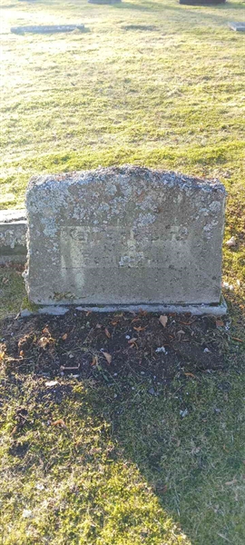 Hautatunnus: 3 Nya E   163-165