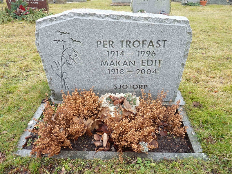 Grave number: SG 4   81