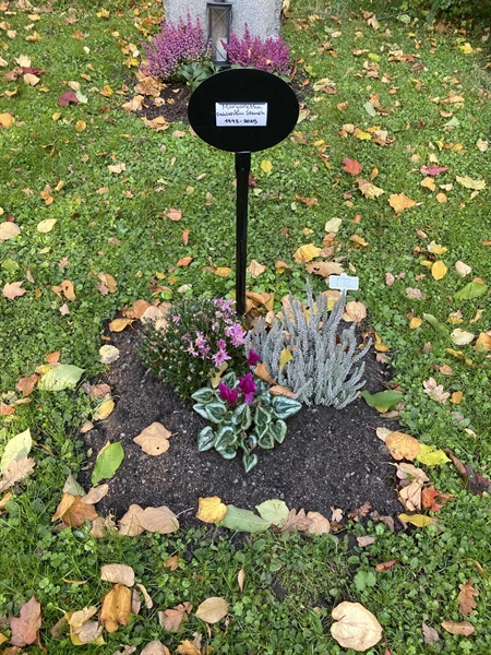 Hautatunnus: 1 H   247