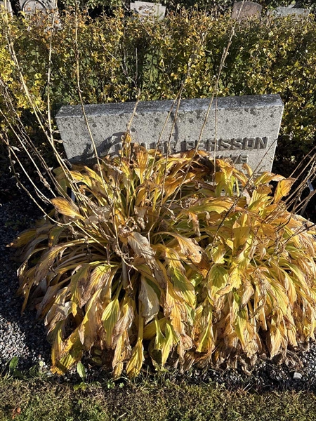 Hautatunnus: 4 N NB   182
