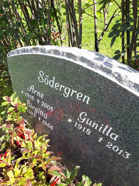 Gravnummer: NK F A    99