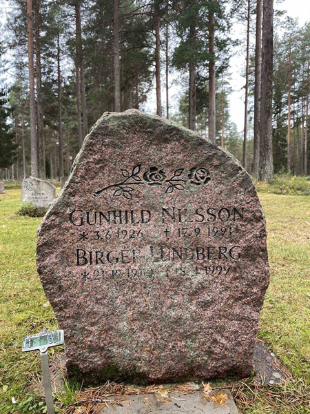 Grave number: 3 1    31