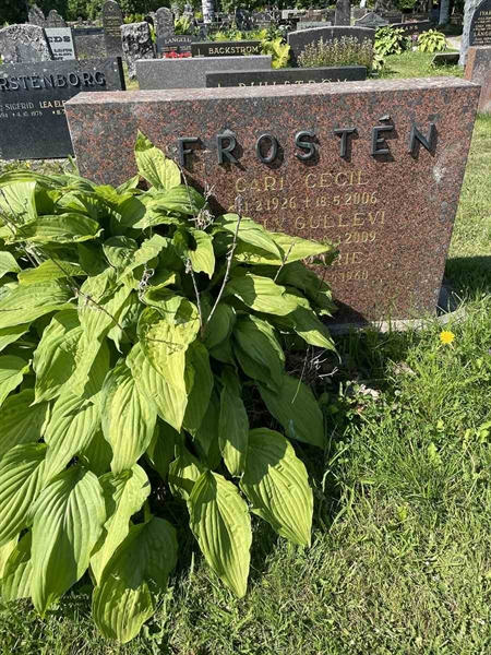 Hautatunnus: N 5 2   160a