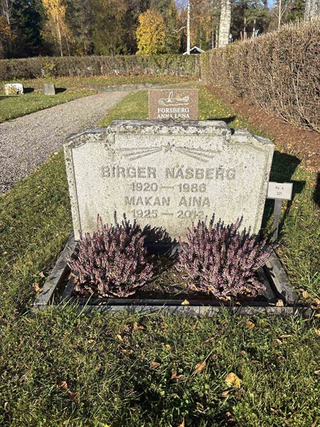 Gravnummer: R 4   321