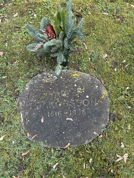 Gravnummer: LE   250