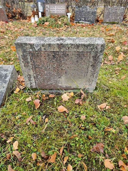 Grave number: 1 19   79