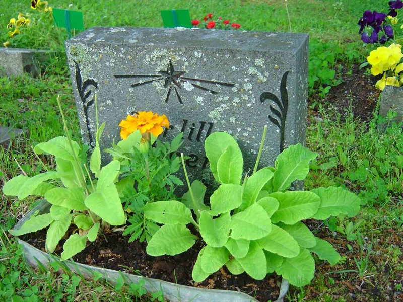 Grave number: A NB   63