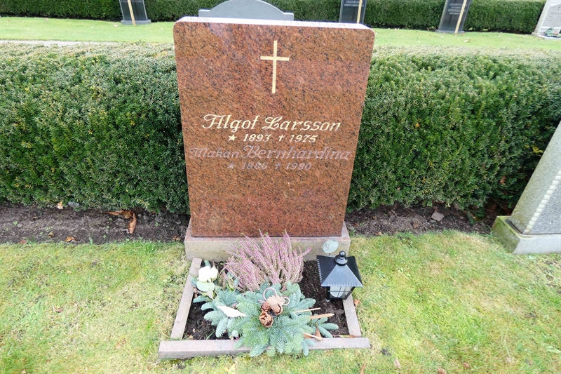 Grave number: TR 3   114