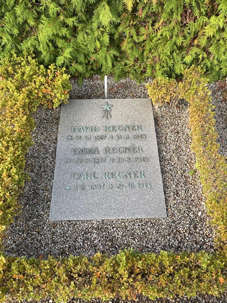 Grave number: NK Urn n     6
