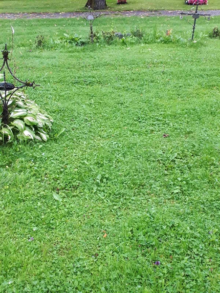 Hautatunnus: GK A 4   235V