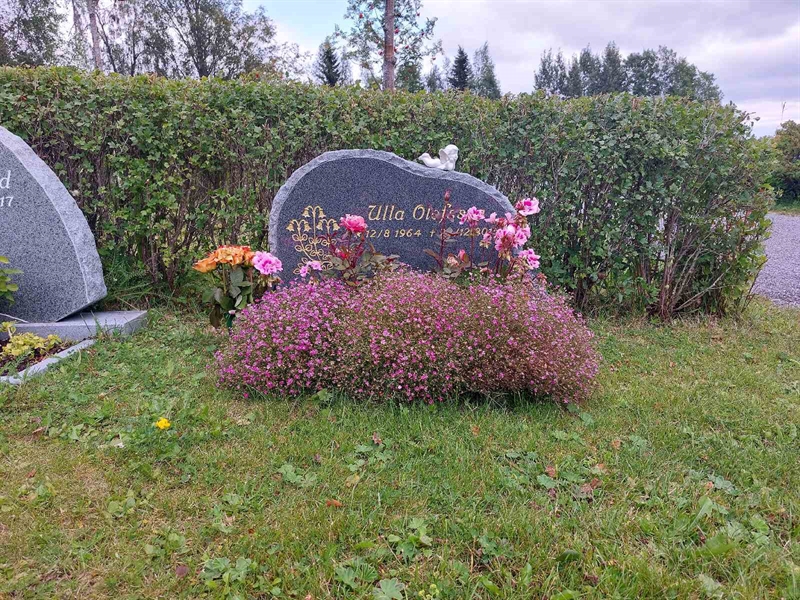 Grave number: OÖ U    19