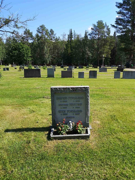 Hautatunnus: PK   104