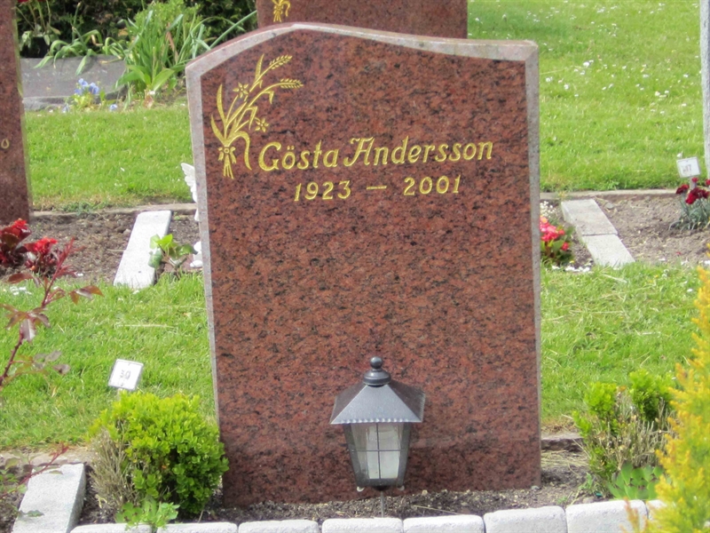 Grave number: 1 29    30