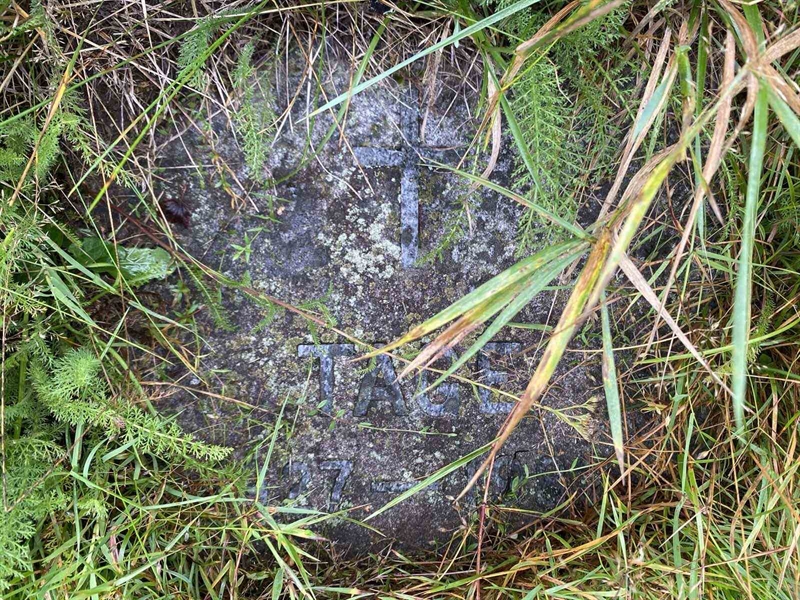 Gravnummer: 1 18     86, 87