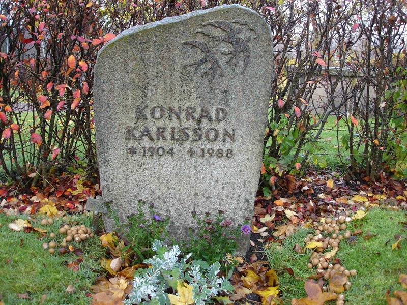 Grave number: B VÄ 194, 195