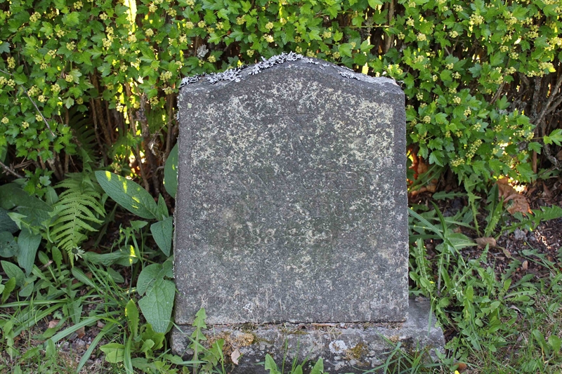 Grave number: A N  654