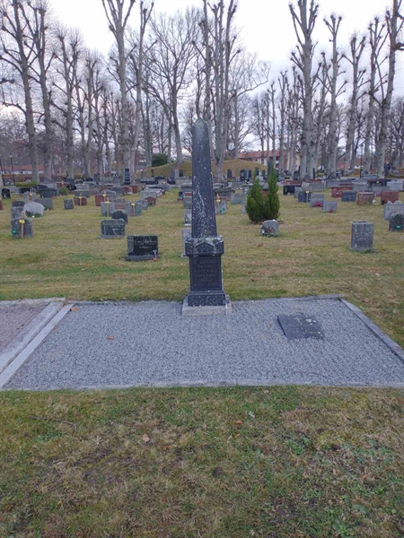 Hautatunnus: VK D 16, 17, 18, 19