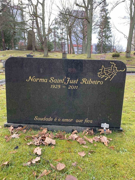 Hautatunnus: 1 D   156