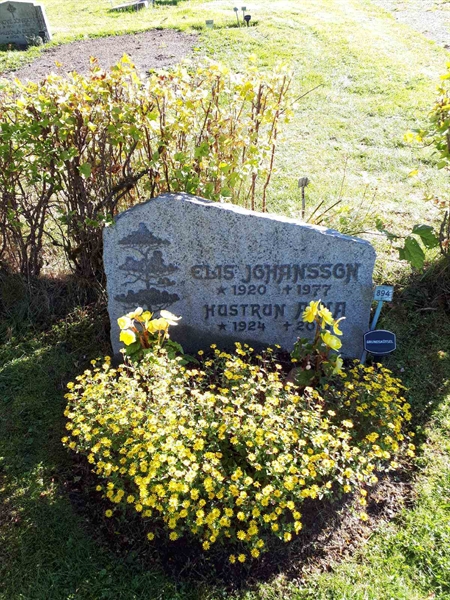 Gravnummer: NK F B   893-894