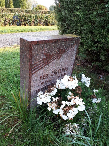 Hautatunnus: NK F D     6