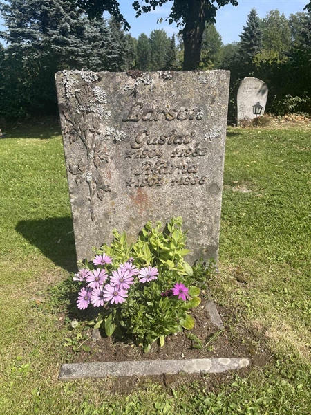 Gravnummer: 1 A1    95-96